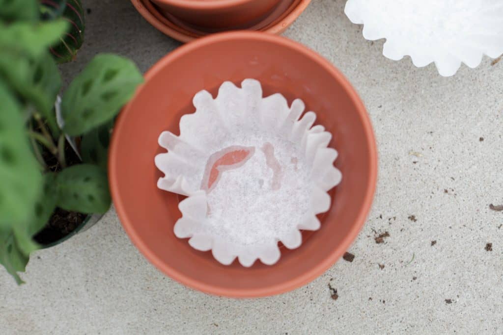 Use a coffee filter to cover the drainage hole