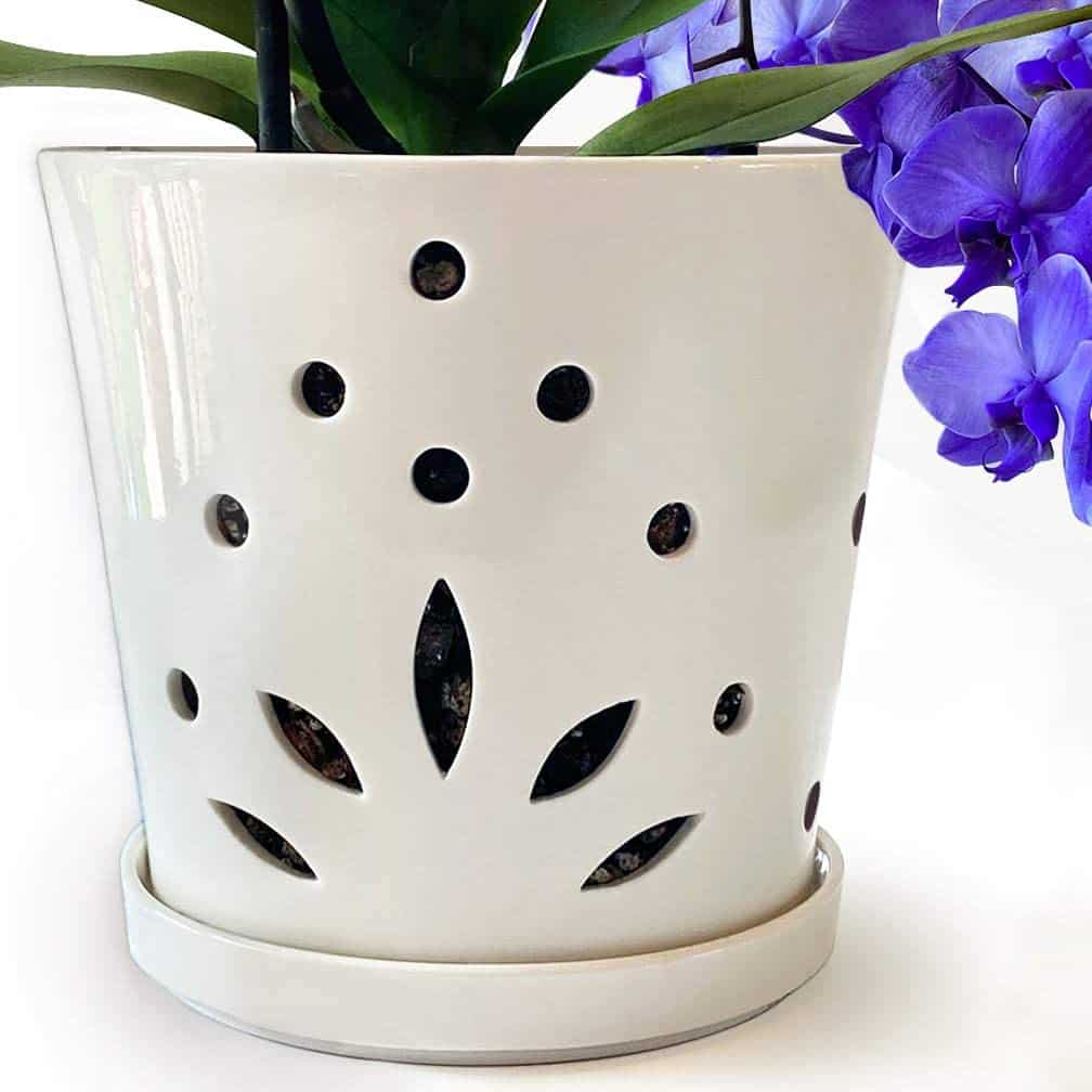 Atri Ceramic Orchid Pot with Holes