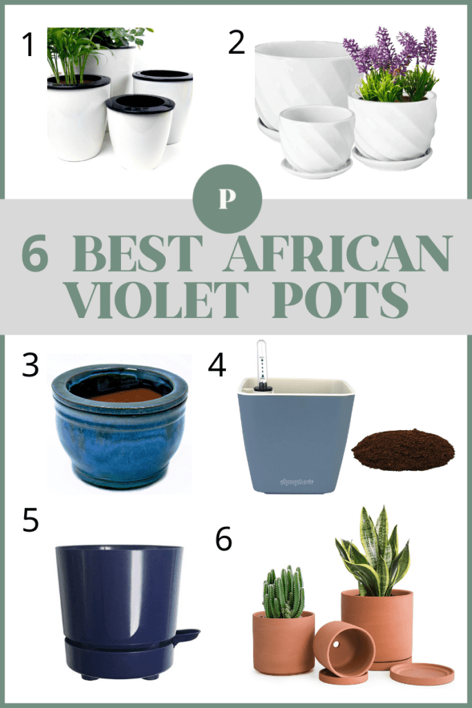 best pots for african violet