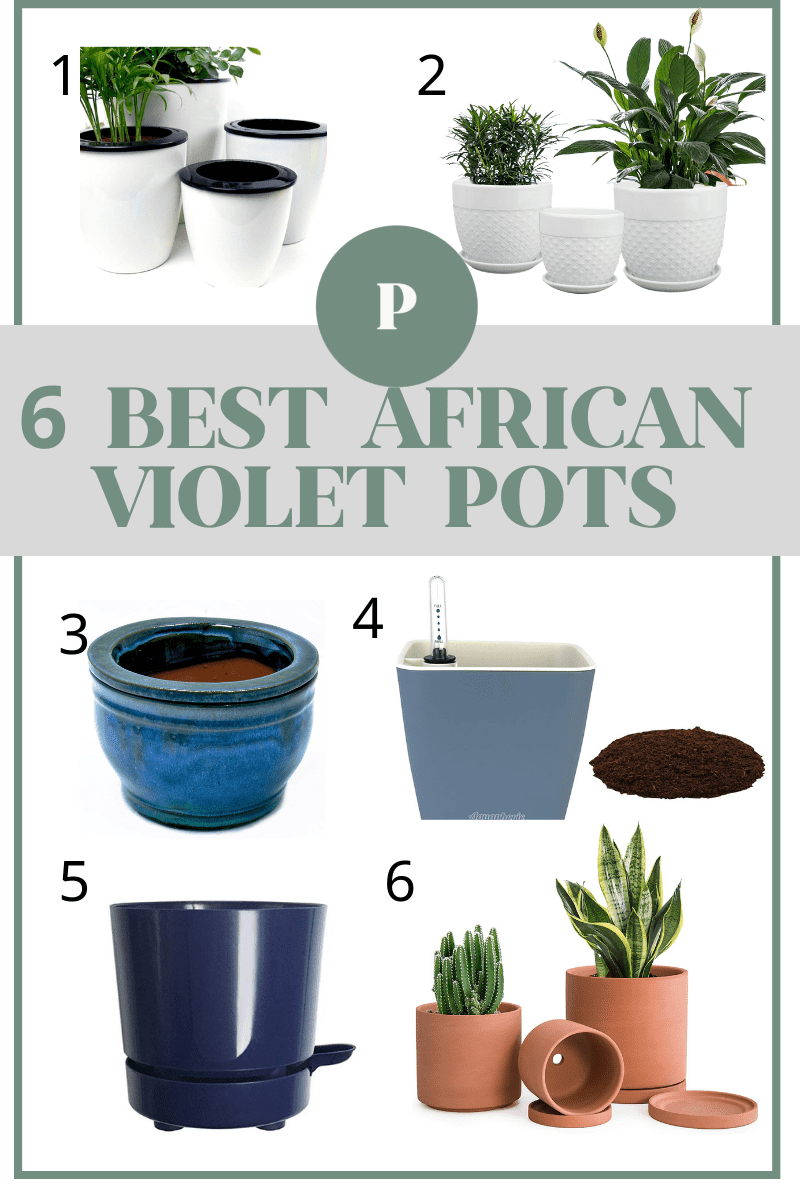 Best African Violet Pots