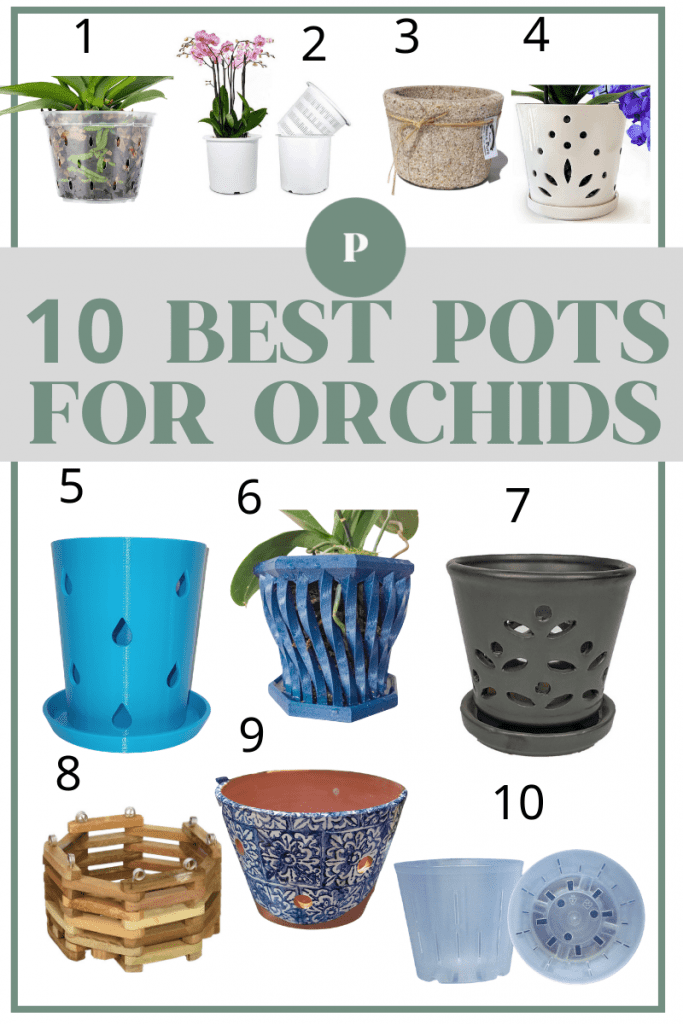 10 best pots for orchids