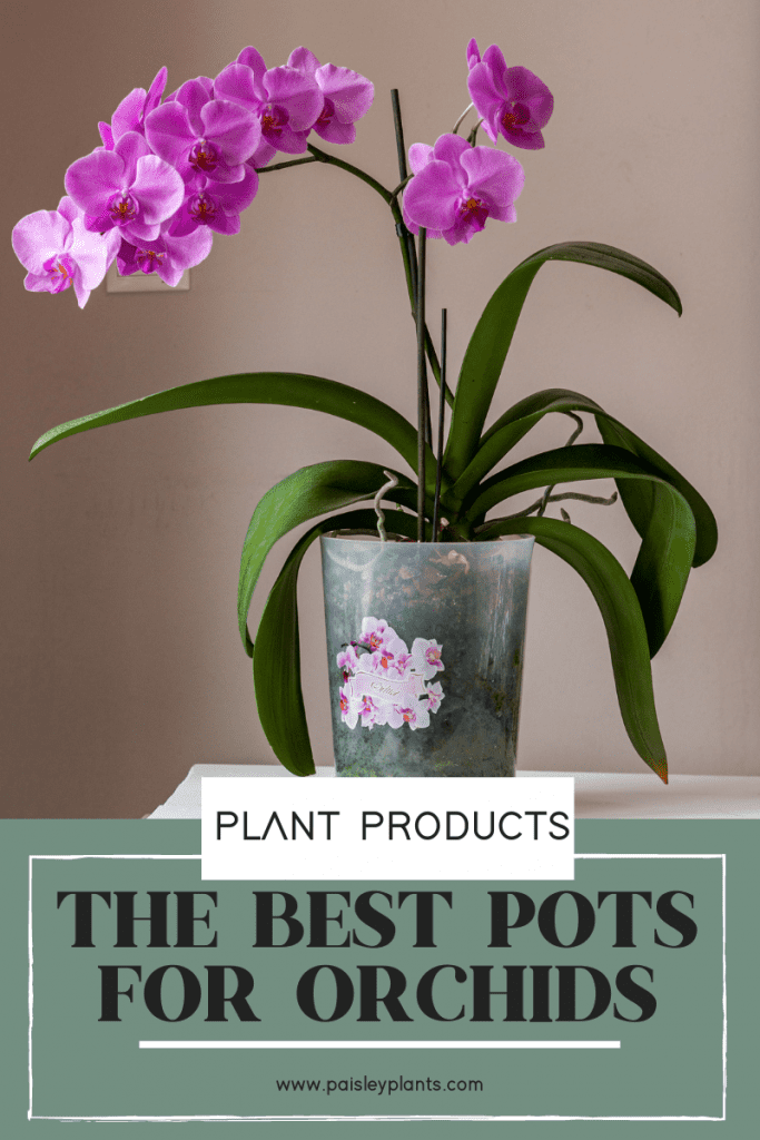 best pots for orchids