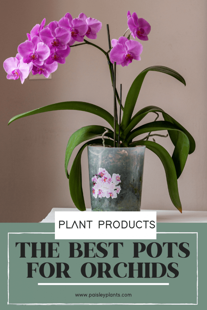 10 Best Orchid Pots And Containers Paisley Plants 