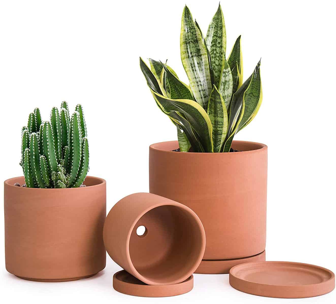 Terracotta Indoor Plant Pots