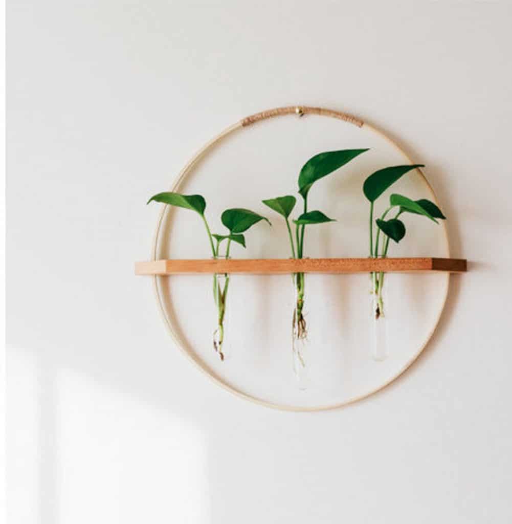 Circle Bamboo Propagation Station