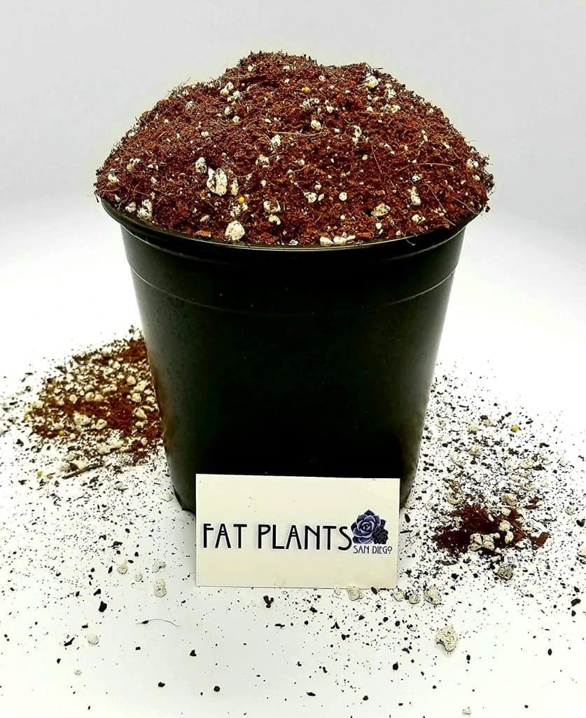 Fat Plants San Diego Premium Cacti and Succulent Soil