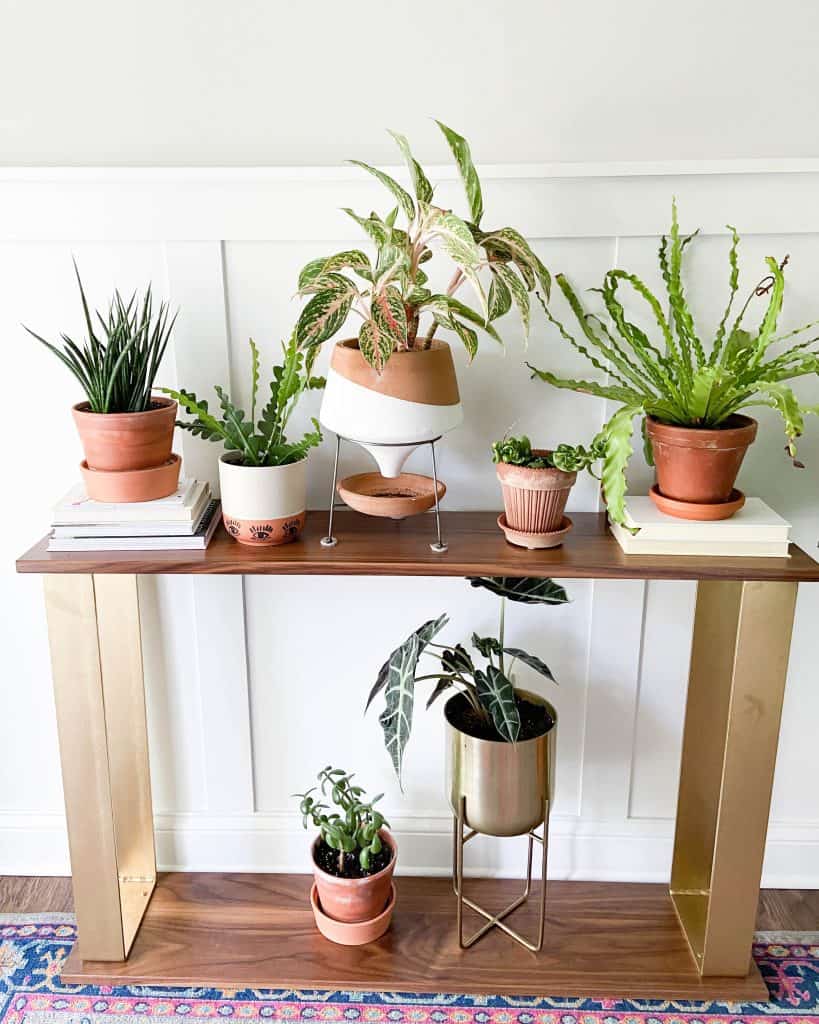 A plant covered console table