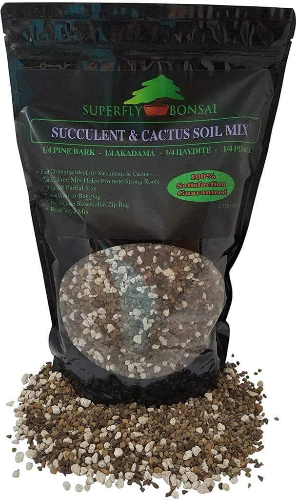 Succulent and Cactus Soil Mix