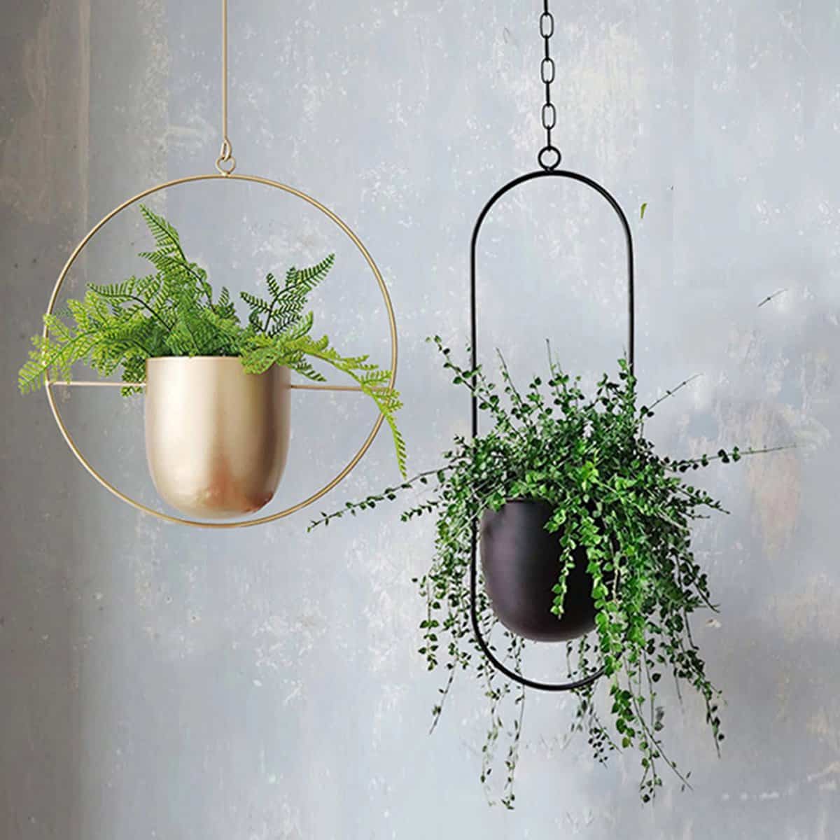 Hanging Indoor Planter Near Me