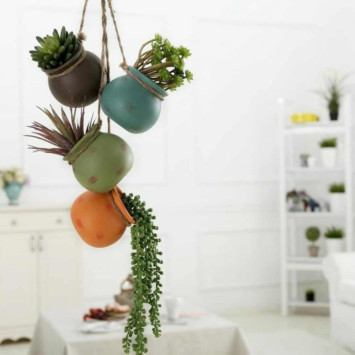 15 Best Hanging Indoor Planters For Your Home Paisley Plants 15 Best Hanging Indoor Planters For Your Home Paisley Plants