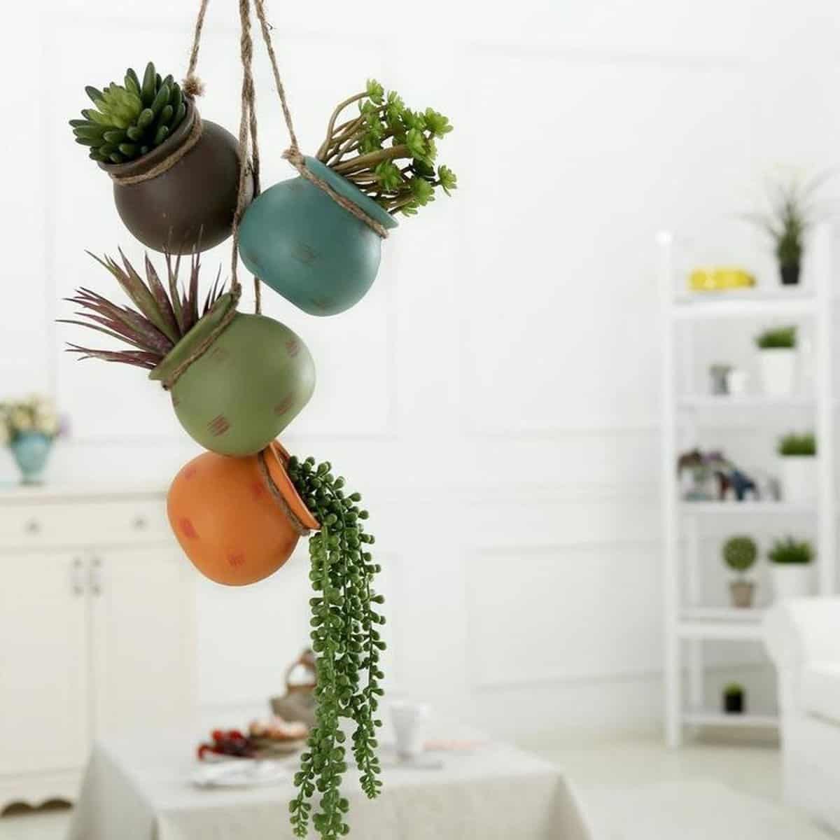 Colorful Mini Hanging Planter 