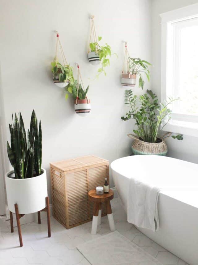 bathroom filled with plants