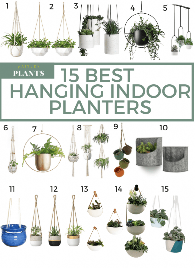 15 best hanging indoor planters