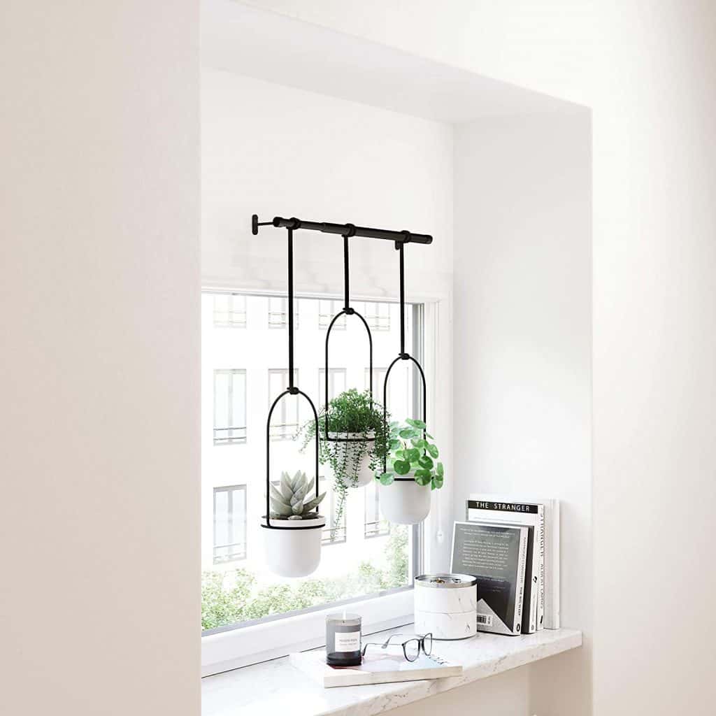 Hanging Planter For Window 1024x1024 