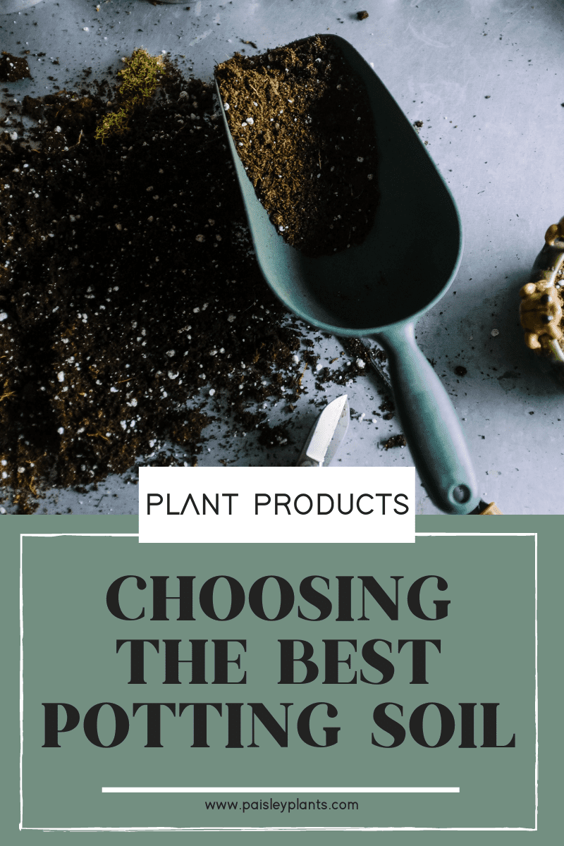 How To Choose The Best Potting Soil - Paisley Plants