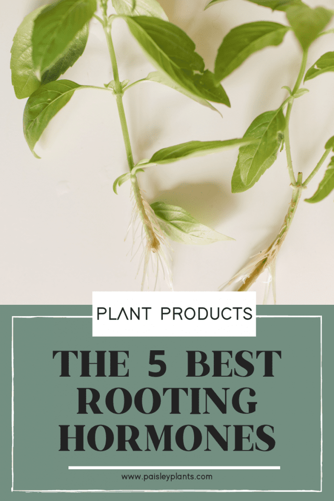 5 best rooting hormone