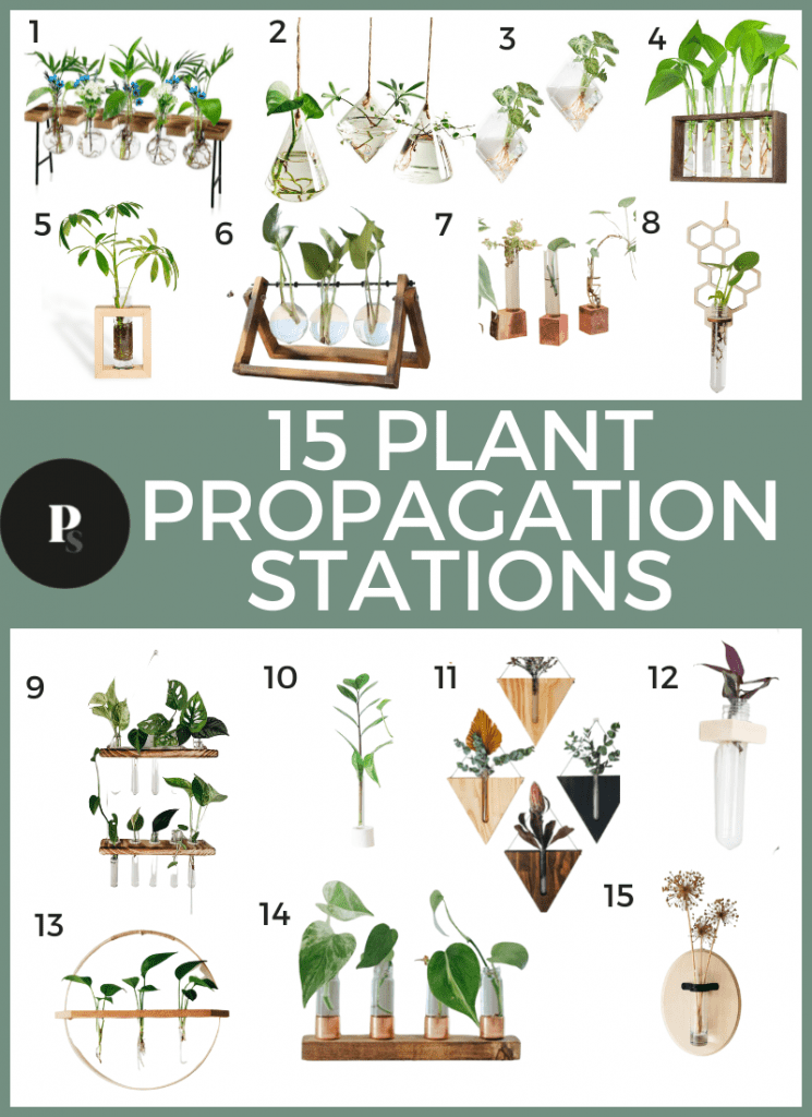 Extra Large Propagation Station With 2 Hooks Hang or Stand 5 or 10