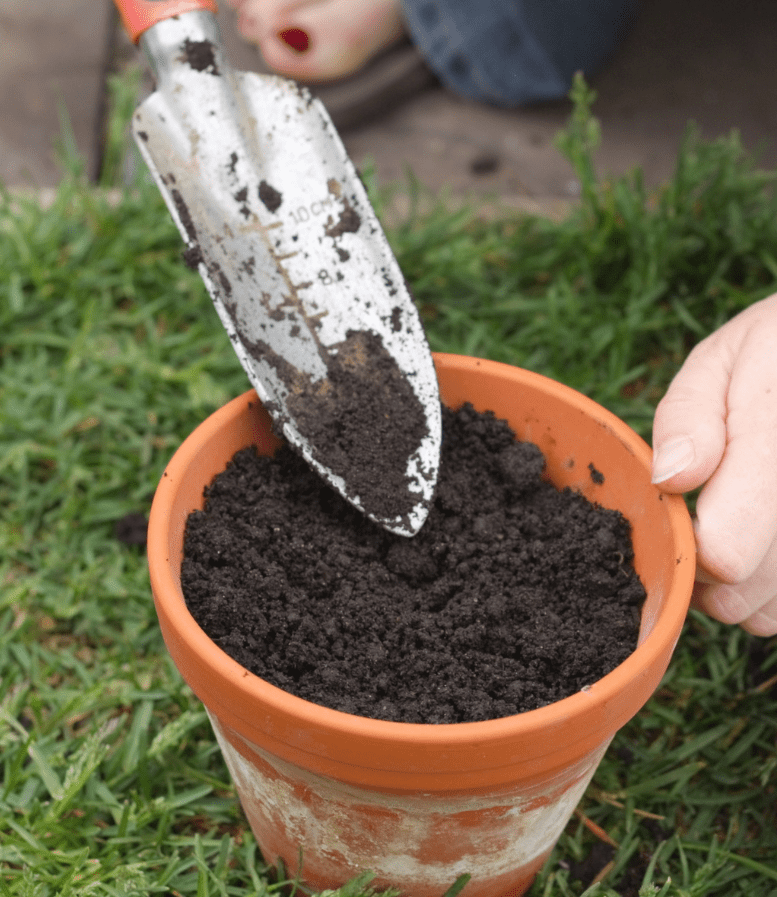 pot of soil