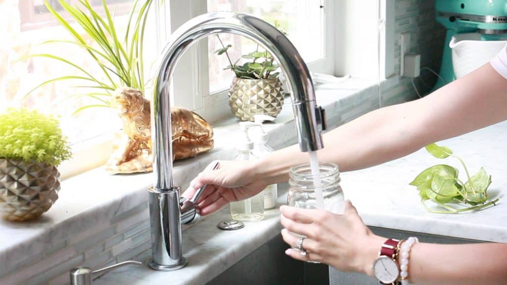 filling jar to propagate pothos plant