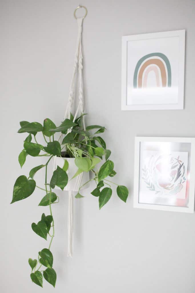 macrame plant hanger