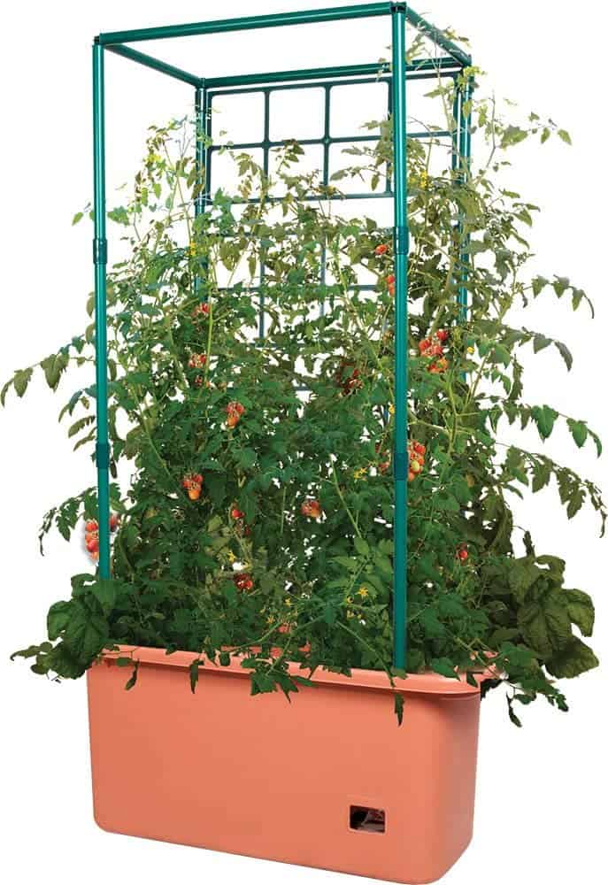 Hydrofarm GCTR 10 Gal Tomato Garden Planting Grow System with 4 Foot Trellis Wheels