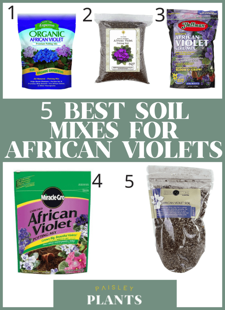5 best soil mixes for african violet