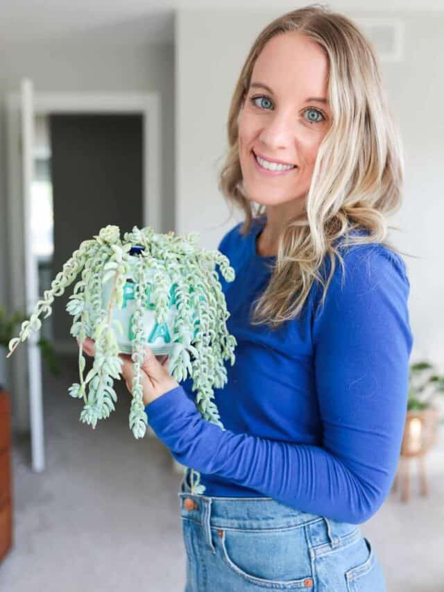 jen biswas with burro's tail plant