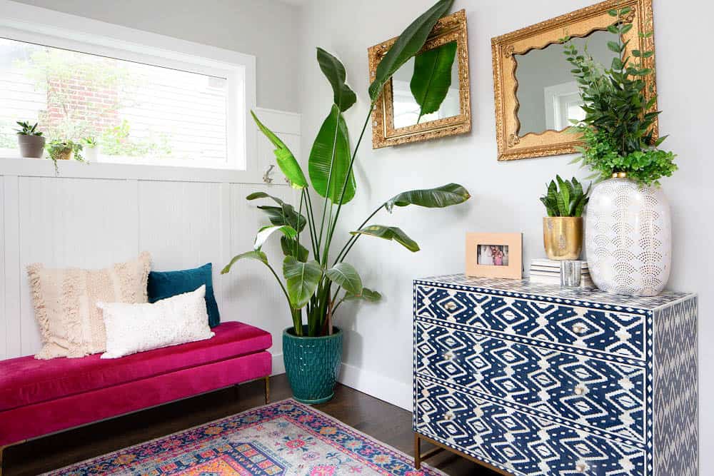 entryway with bird of paradise plant